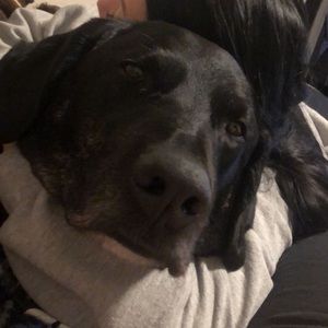 Meet your Posher, Kelsi